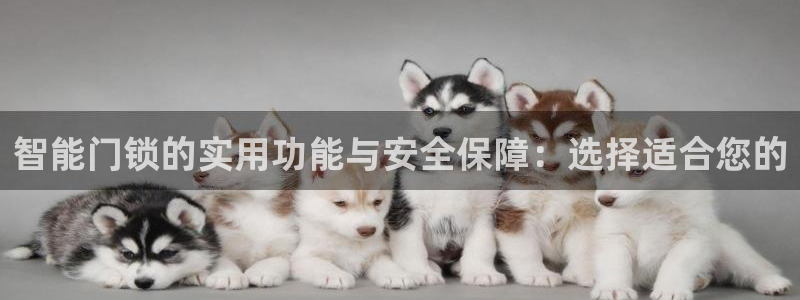 开丰娱乐官网电话