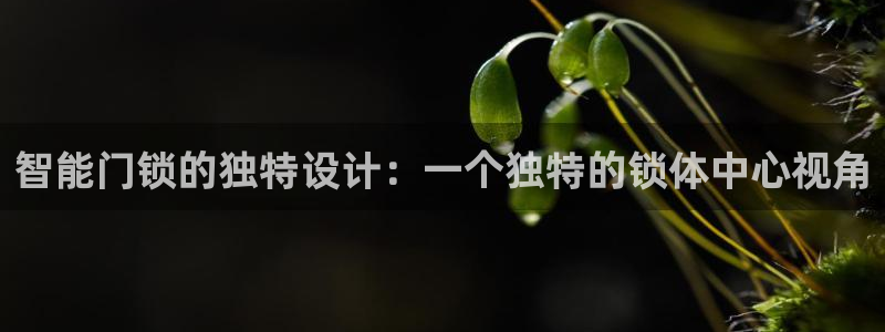 开丰娱乐下7O667