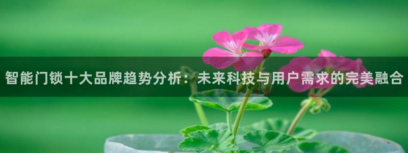 开丰娱乐网站官网入口：智能门锁十大品牌趋势分析：未来科技与用