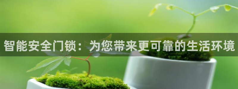 开丰娱乐科技