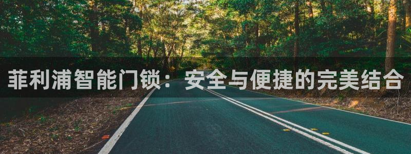 开丰娱乐左：菲利浦智能门锁：安全与便捷的完美结合