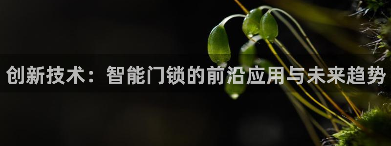 开丰娱乐67 5138：创新技术：智能门锁的前沿应用与未来趋