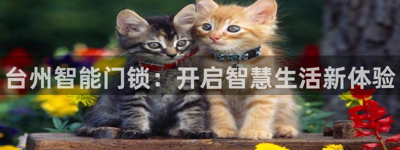 开丰娱乐最新活动