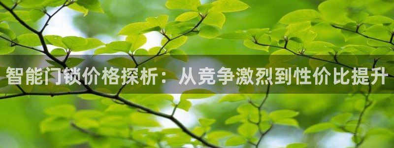 开丰娱乐官网平台登录：智能门锁价格探析：从竞争激烈到性价比提