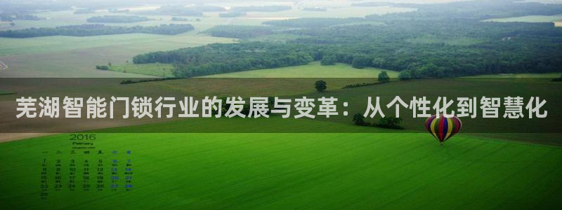 开丰娱乐登入地址：芜湖智能门锁行业的发展与变革：从个性化到智