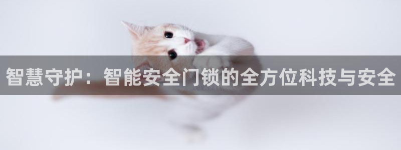 开丰娱乐乙833_43：智慧守护：智能安全门锁的全方位科技与