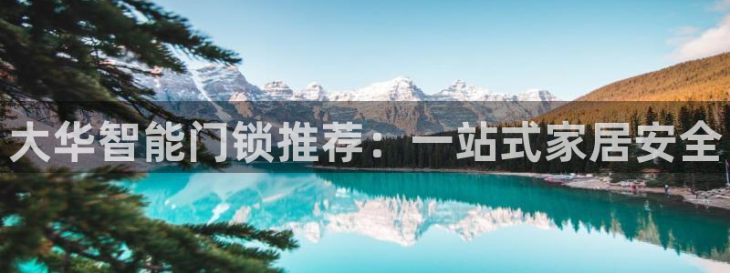开丰娱乐登录：大华智能门锁推荐：一站式家居安全