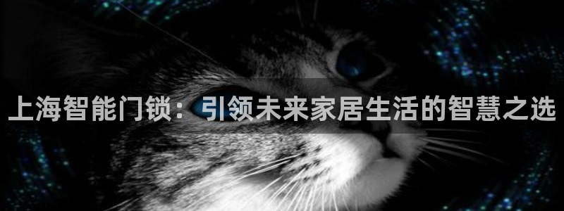 开丰娱乐官网平台下载