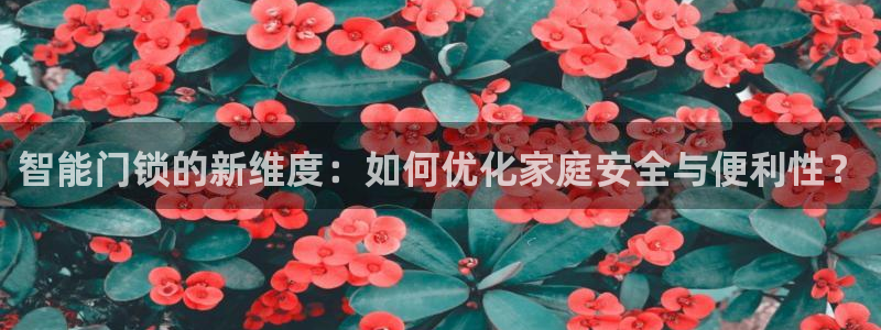开丰娱乐优七九九47：智能门锁的新维度：如何优化家庭安全与便
