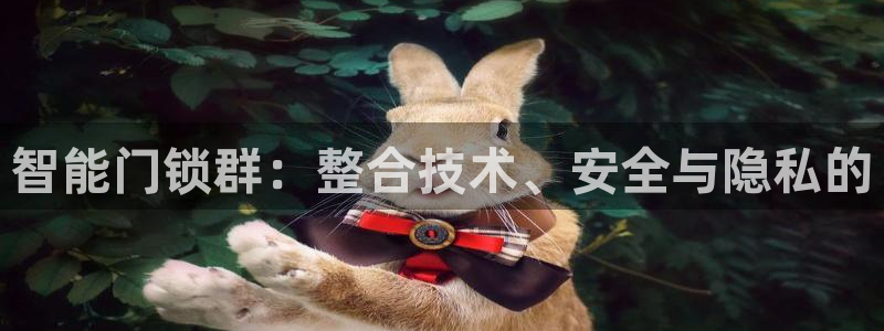 开丰娱乐官网平台