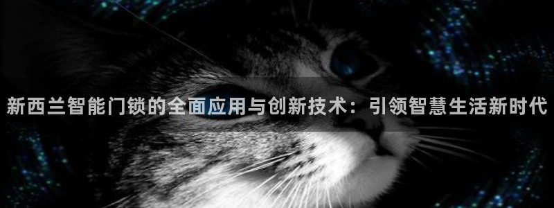 开丰娱乐新登录平台：新西兰智能门锁的全面应用与创新技术：引领