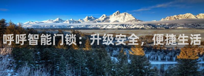 开丰娱乐主管：呼呼智能门锁：升级安全，便捷生活