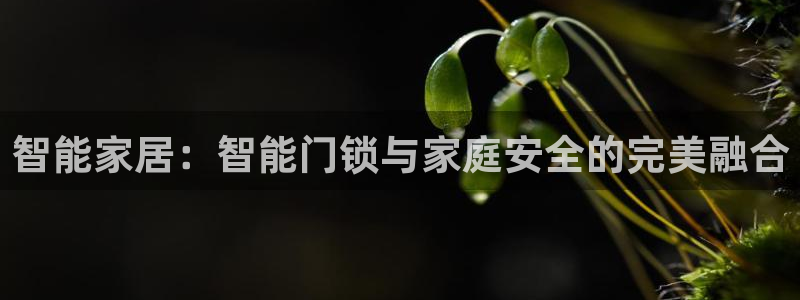 开丰娱乐官网最新消息