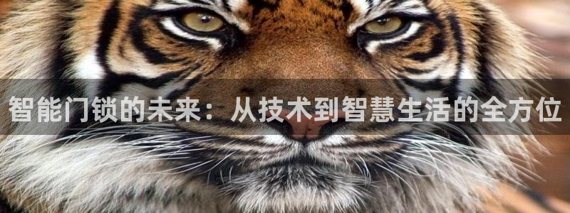 开丰娱乐注册电7O777：智能门锁的未来：从技术到智慧生活的