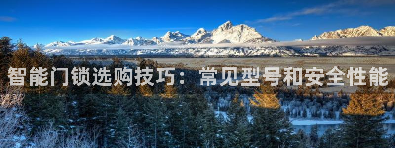 开丰娱乐靠谱吗：智能门锁选购技巧：常见型号和安全性能