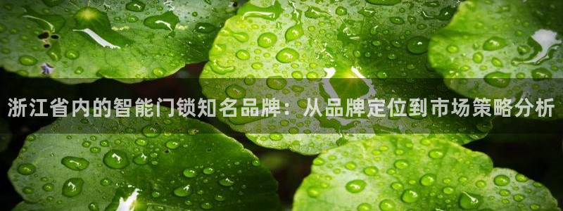 开丰娱乐官网最新消息：浙江省内的智能门锁知名品牌：从品牌定位