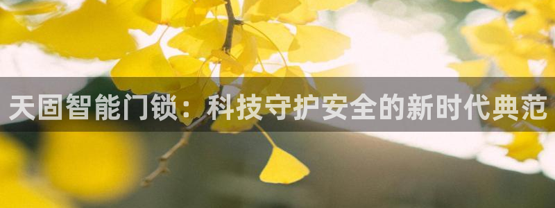 开丰娱乐除7O777：天固智能门锁：科技守护安全的新时代典范