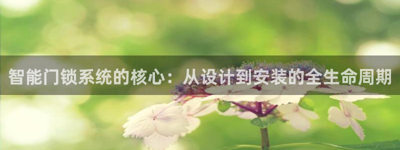 开丰娱乐官网平台下载：智能门锁系统的核心：从设计到安装的全生