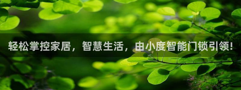 开丰娱乐予 7O935：轻松掌控家居，智慧生活，由小度智能门
