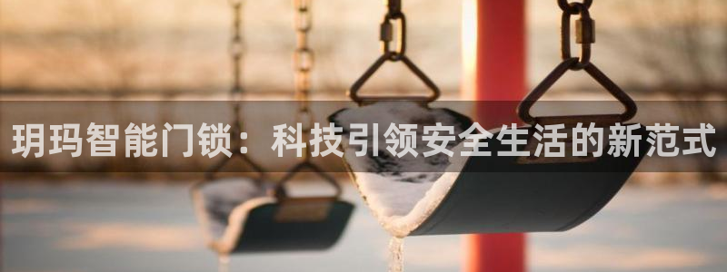 开丰娱乐app：玥玛智能门锁：科技引领安全生活的新范式