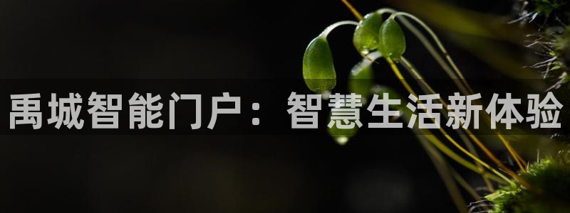 开丰娱乐开户