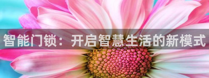 开丰娱乐注册登录不了：智能门锁：开启智慧生活的新模式