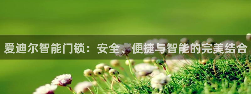 开丰娱乐左：爱迪尔智能门锁：安全、便捷与智能的完美结合