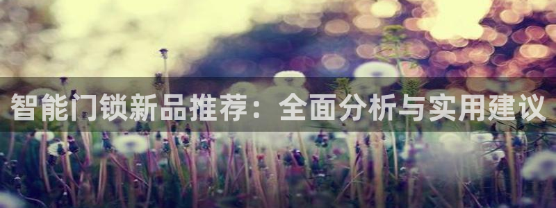 开丰娱乐登录平台：智能门锁新品推荐：全面分析与实用建议